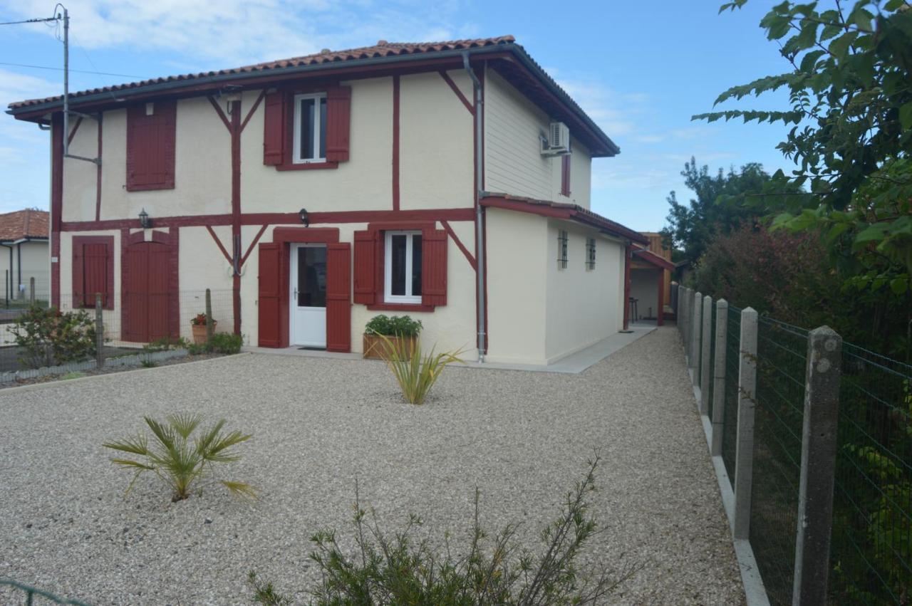 Maison Landaise Renovee Avec Charme ليت إت ميكسي المظهر الخارجي الصورة